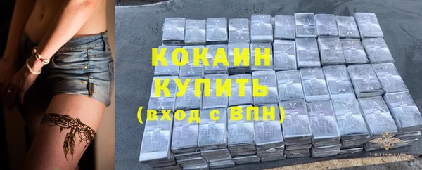 шишки Богданович