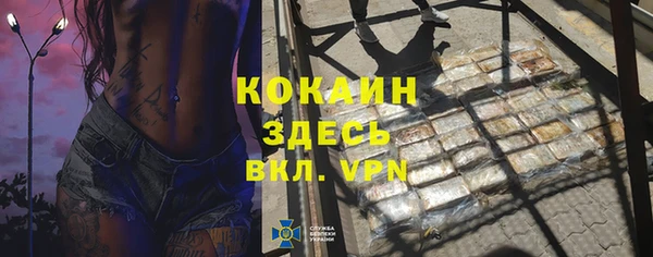 ешки Белокуриха