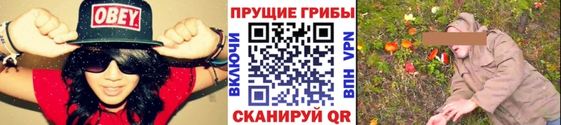 как найти закладки  маркетплейс Telegram  Галлюциногенные грибы мицелий  Бузулук 